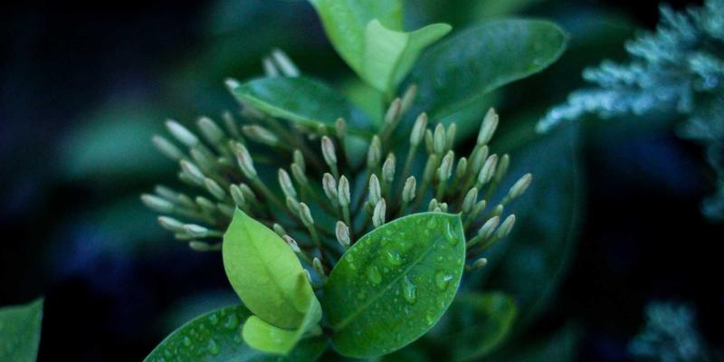 生活服务新视角:用诱导公式巧算Sin114°,让数学便民服务融入日常